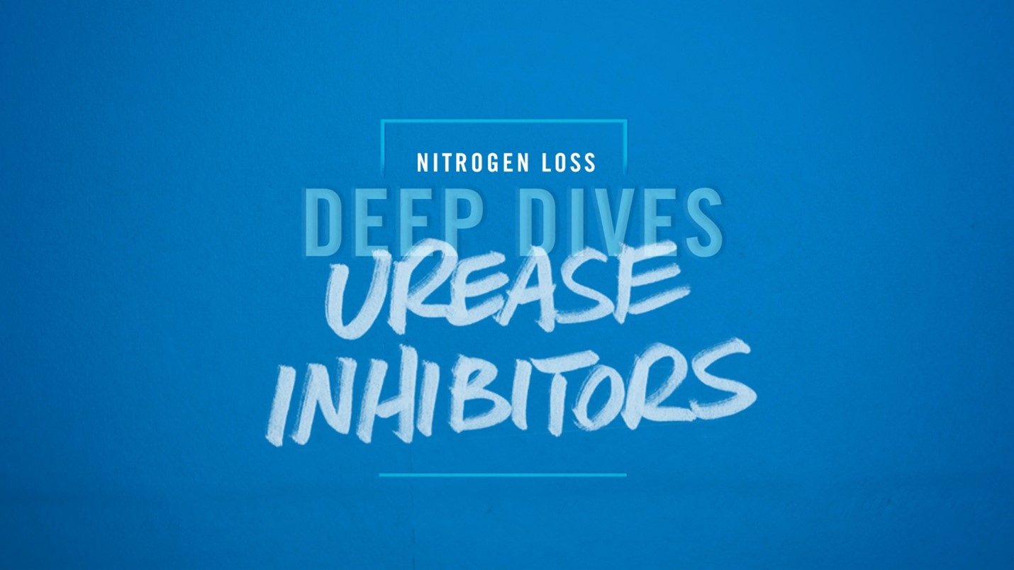 Deep Dive Video on Urease Inhibitors