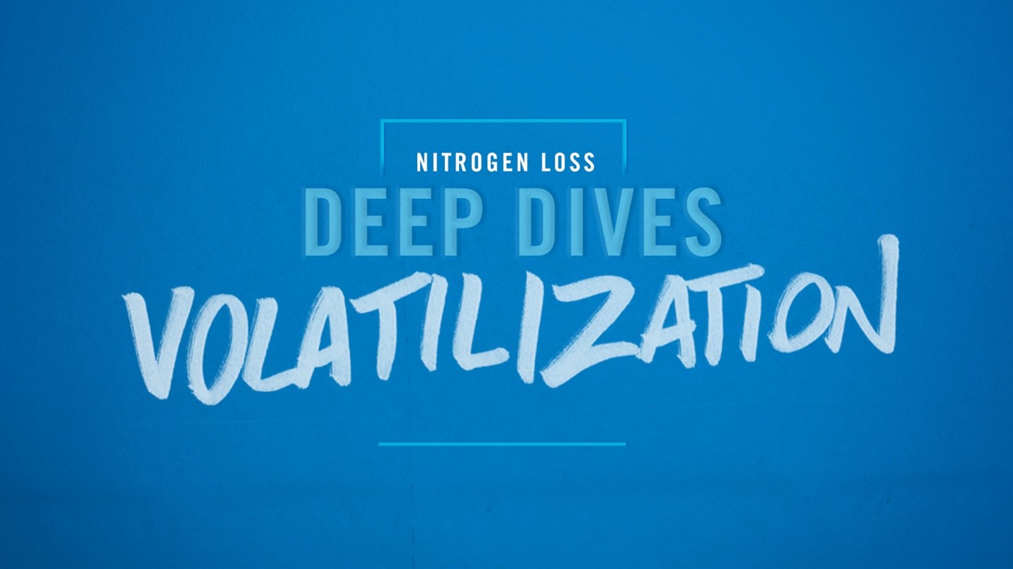 Deep Dive Video - Volatilization