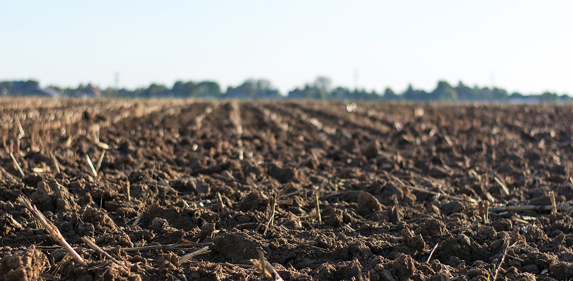 A field with corn stubble that's been tilled